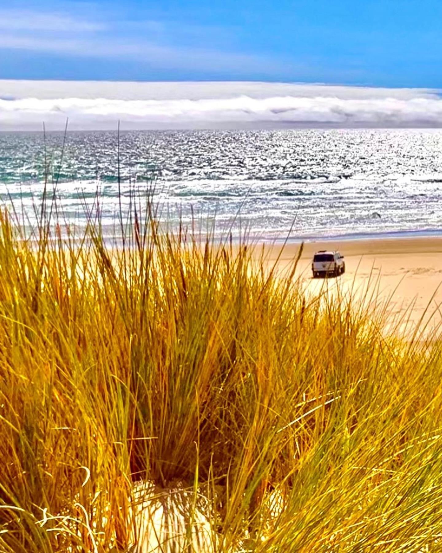 Tropical Retreat Close To Beach グローバー・ビーチ エクステリア 写真