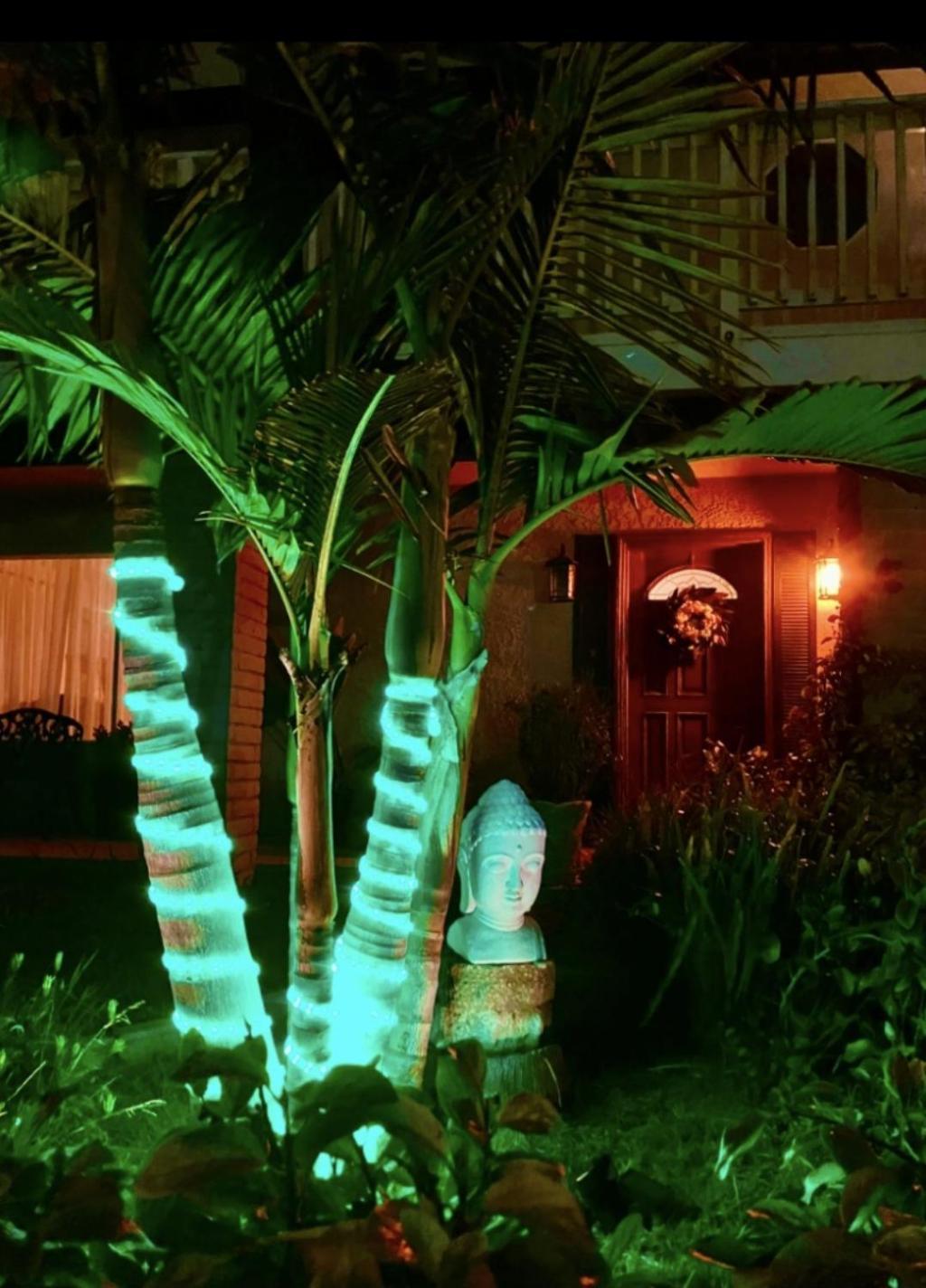 Tropical Retreat Close To Beach グローバー・ビーチ エクステリア 写真